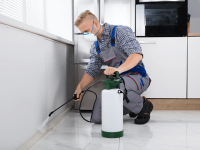 About Buckeye Pest Control Pros - pest control experts in Buckeye