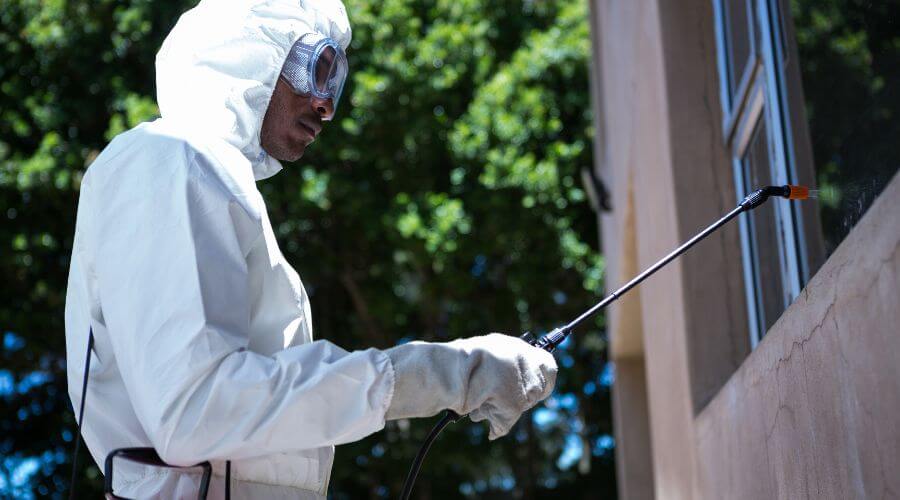 Why choose Buckeye Pest Control Pros for pest control in Buckeye